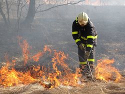 Neopatrnost občanů vedla k požárům travních porostů
