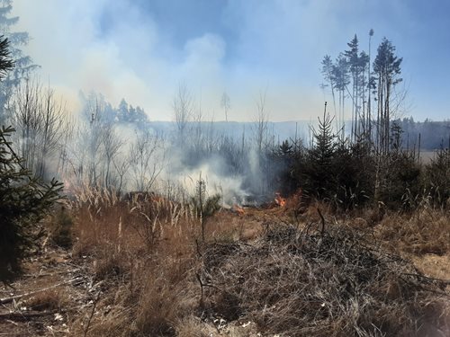 Hasiči nasazují všechny síly při boji s rozsáhlým lesním požárem