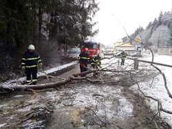  Dobrovolní hasiči  Rudník – Arnultovice odstranili nakloněná stromy nad silnicí FOTOGALERIE