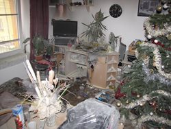 Celkem k 29 zásahům vyjížděli v průběhu Štědrého dne jednotky hasičů na území Jihočeského kraje. 