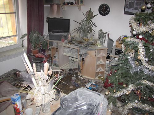Celkem k 29 zásahům vyjížděli v průběhu Štědrého dne jednotky hasičů na území Jihočeského kraje. 