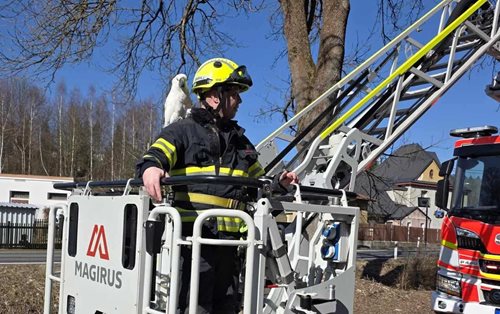 Neobvyklý zásah skončil šťastným návratem 