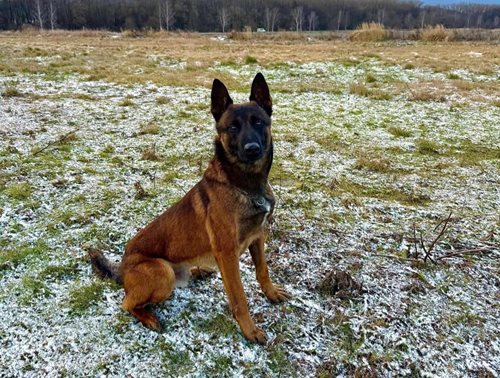 Rychlá reakce policie zabránila ohrožení života osoby v blízkosti železnice