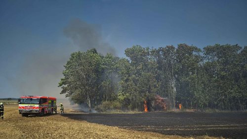 Hasiči bojovali se dvěma požáry v přírodě. Oheň zachvátil strniště, remízek i les