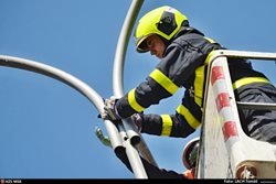 Ostravští hasiči osvobodili kavku zaseknutou ve sloupu veřejného osvětlení