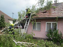 Jeden vyvrácený strom zasáhl střechu domku a poškodil střešní krytinu, druhý zasáhl balkon domu.