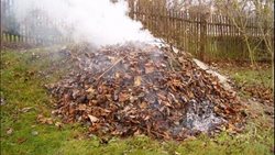 Podzimní pálení listí přináší zvýšené riziko požárů