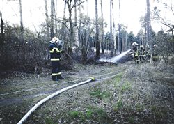 Zásahy u lesních požárů pokračují i další dny