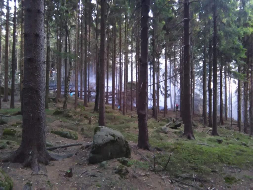 machov2-(1).jpg machov2-(1).jpg