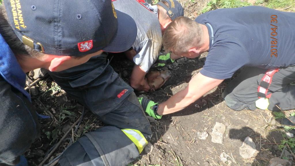 ff-(1).jpg ff-(1).jpg