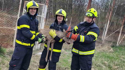 Nečekané uvěznění v opuštěném areálu