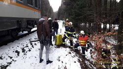 Hasiči v Plzeňském kraji přes víkend vyjížděli zejména k popadaným stromům