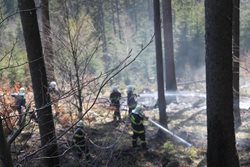 U lesního požáru u Olešnice v Orlických horách zasahovali čeští i polští hasiči