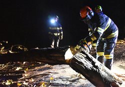Silný vítr lámal a vyvracel stromy v Karlovarském kraji Během tří hodin zasahovali hasiči u více než sedmi desítek událostí 
