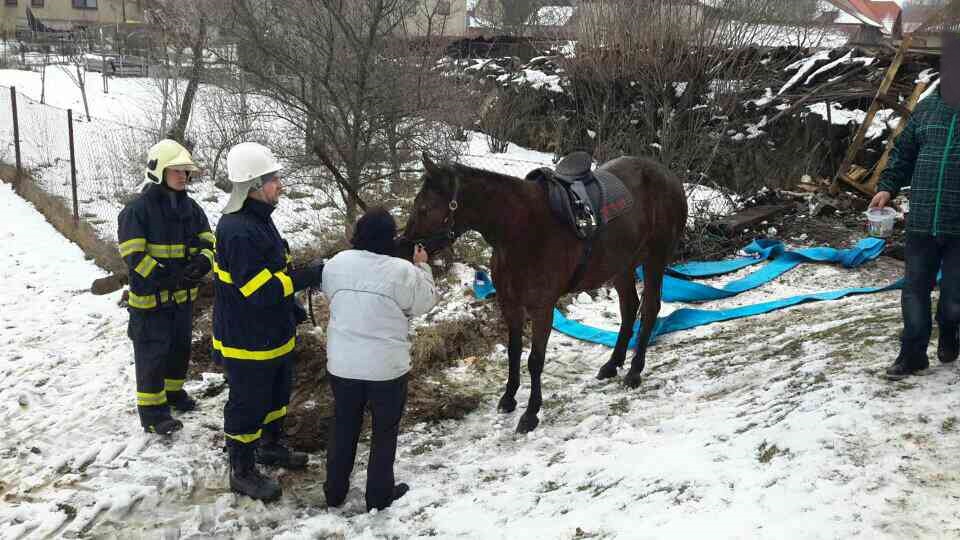 ViewImage-(8).jpg ViewImage-(8).jpg