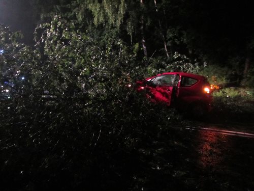 Strom spadl těsně před jedoucí automobil.