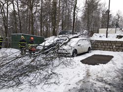 Popadané stromy zaměstnaly hasiče v celém kraji