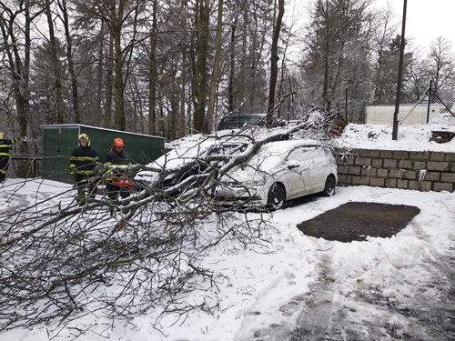 Popadané stromy zaměstnaly hasiče v celém kraji