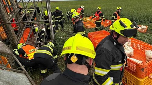 Převrácený kamion zablokoval silnici a ohrozil tisíce zvířat
