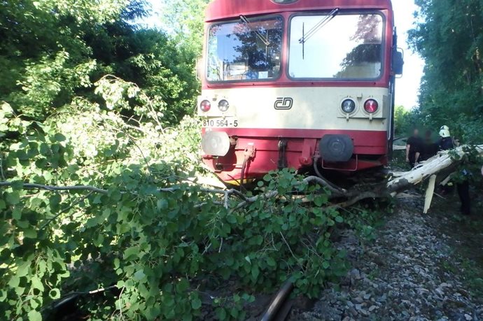 Dvur-kralove-vlak1.jpg Dvur-kralove-vlak1.jpg
