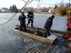 Hasiči na Žďársku zachránili psa z rybníka