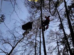 Paraglidistu i s křídlem zachránili z korun stromů přerovští hasiči-lezci