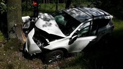 Řidička narazila do stromu, zranila sebe i své psy, které hasiči museli po nehodě umístit do odchytových klecí