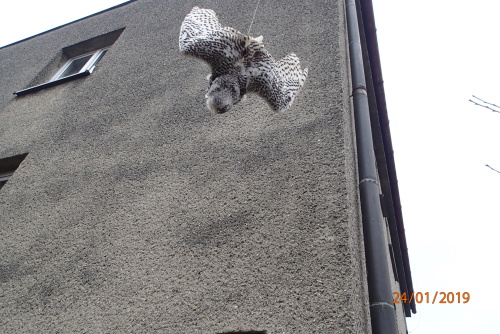 ViewImage-(18).jpg ViewImage-(18).jpg