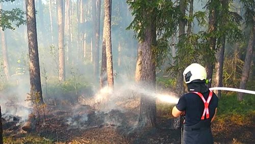 Požár lesa u Domanína komplikoval silný vítr. Hasiči nasadili i dron