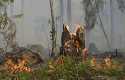 Obrovské horko, členitý a kopcovitý terén, to vše ztěžovalo hasičům likvidaci požáru