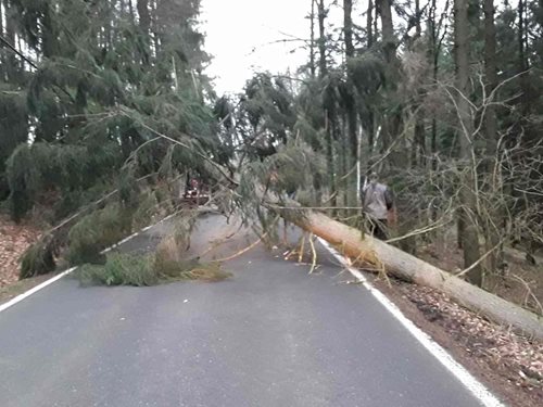 Silný vítr dnes na Vysočině lámal stromy, hasiči od brzkého rána v kraji již vyjeli k 80 událostem