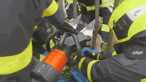 Záchrana bezbranného tvora skončila šťastně