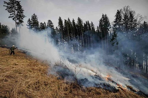 Požár porostu se rychle vymkl kontrole