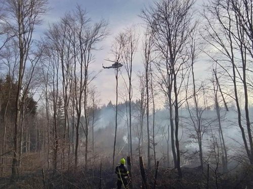 Požár lesa zaměstnal velké síly hasičů