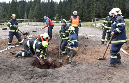 Kůň se v Přebuzi propadl do starého důlního díla
