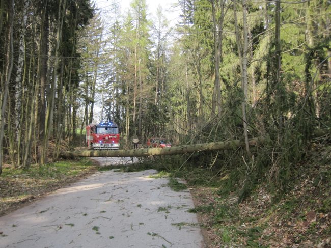 17-04-19-Hertvikovice.jpg 17-04-19-Hertvikovice.jpg