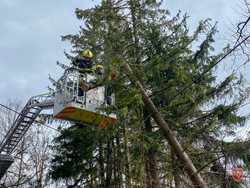 Hasiči  vyjížděli v souvislosti se silným větrem k 18 případům