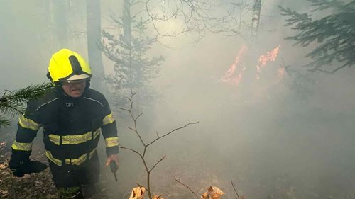 Požár v přírodě prověřil hasiče na maximum