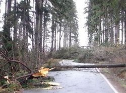 AKTUALIZACE 3 Jihočeský kraj. Počet zásahů jihočeských hasičů likvidujících následky silného větru se zvýšil