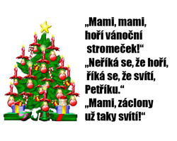Požáry, vánoce, a Nový rok Oslavme je s rozumem a bezpečně 