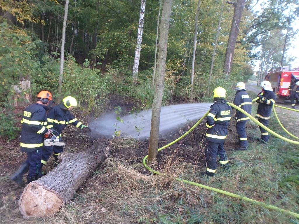 svatonovice1-(1).jpg svatonovice1-(1).jpg