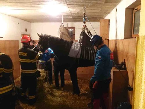 Záchrana koně trvala více než tři hodiny