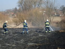 Jarní varování před pálením trávy a větví i ohníčky v přírodě