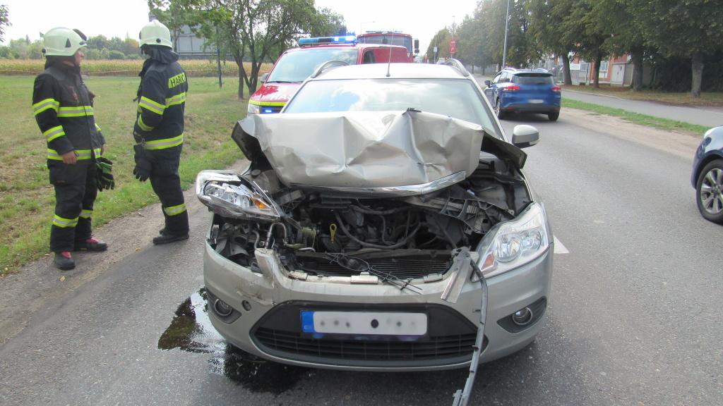 Bedrny1-(1).jpg Bedrny1-(1).jpg