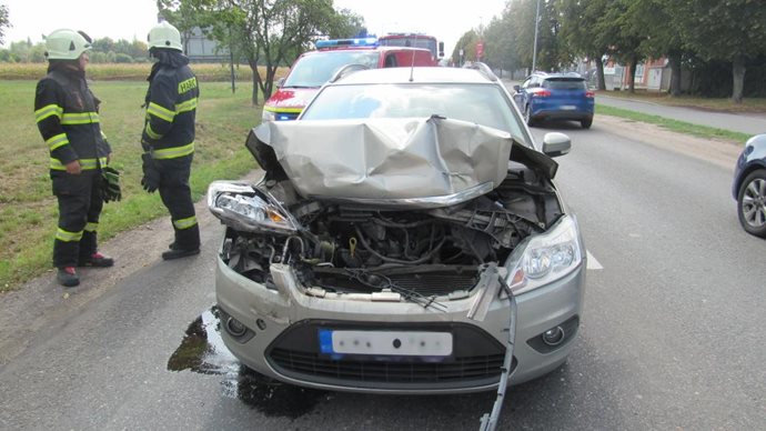 Bedrny1-(1).jpg