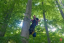 Dvojice paraglidistů uvízla v Palkovicích na vzrostlých stromech, při cvičení byl nasazen i pásový speciál