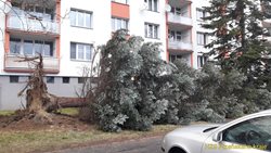 Orkán Sabine v Plzeňském kraji