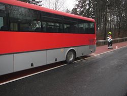 Strom skončil pod jedoucím autobusem