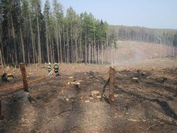 Požár na okraji lesního porostu hasiči rychle zlikvidovali