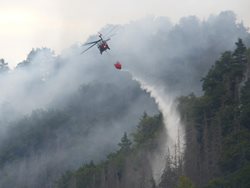 Informace pro dobrovolné jednotky k zásahu při rozsáhlém lesním požáru v NP České Švýcarsko